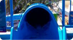 el delfin