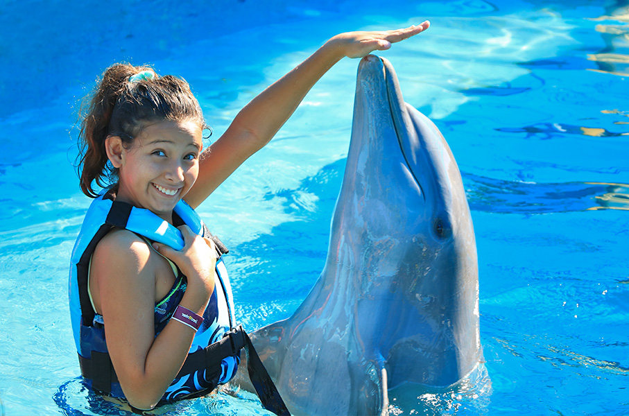 Dolphin Kiss
