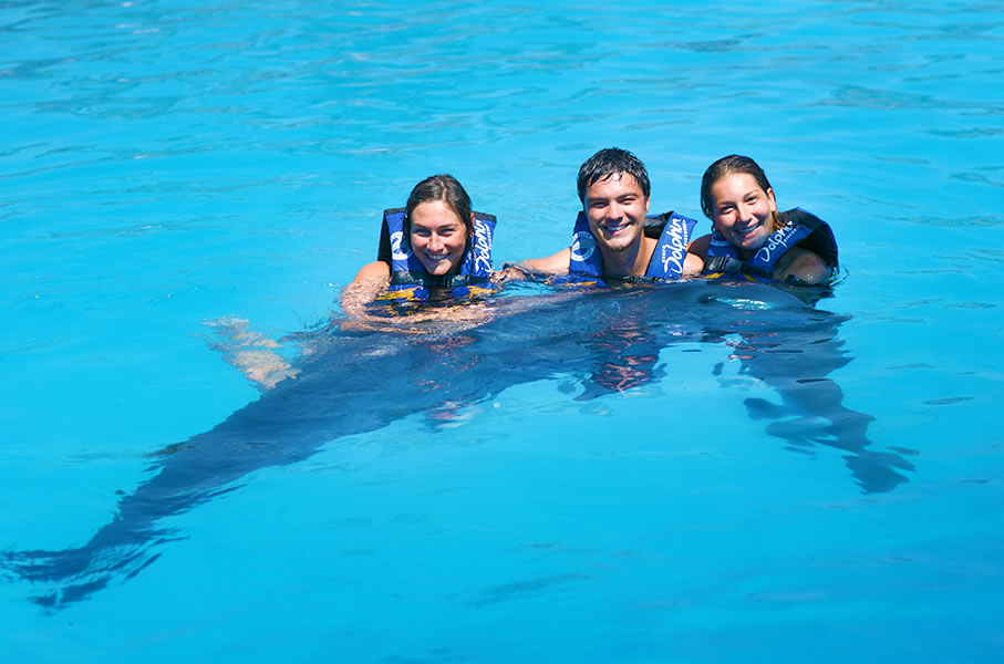 Dolphin Encounter in Vallarta